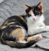 Agnes