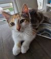 Delila