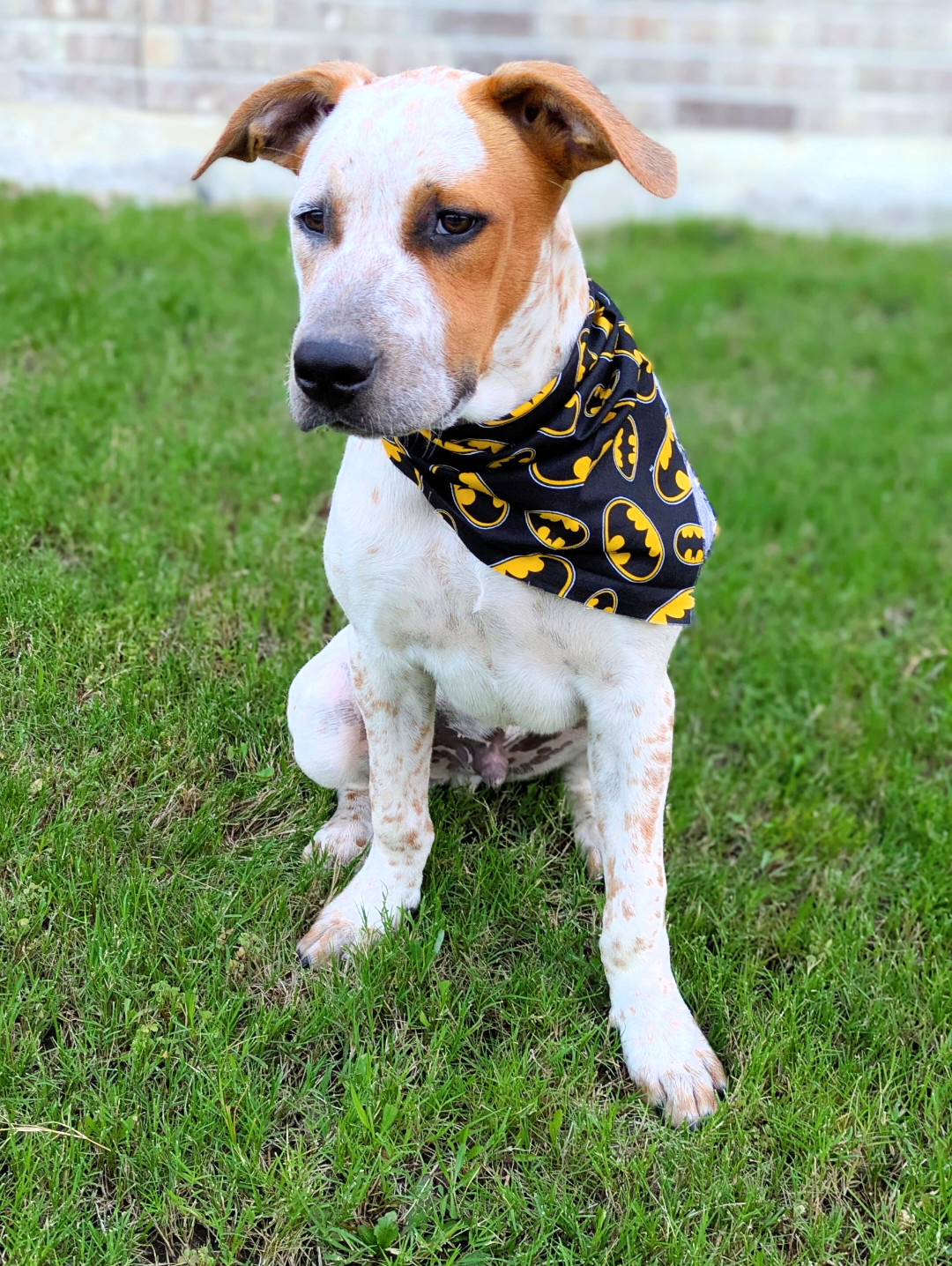 Sheldon Duke (New Digs)