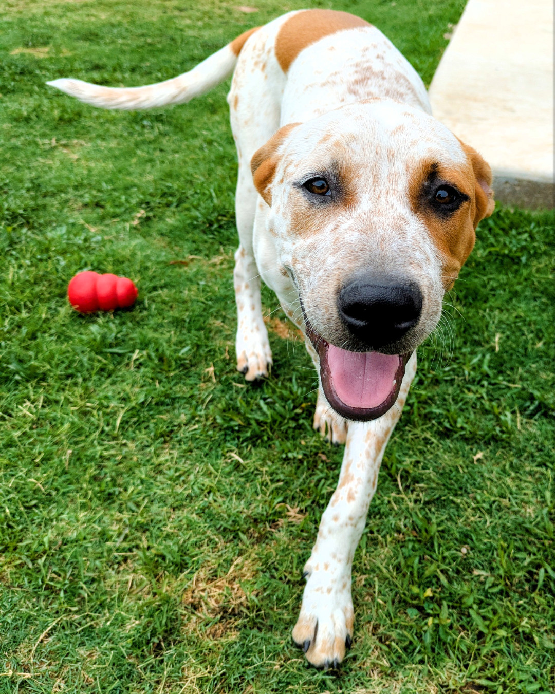 Sheldon Duke (New Digs)