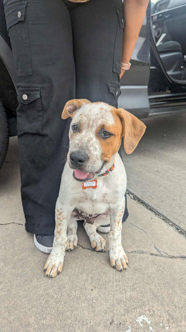 Sheldon Duke (New Digs)