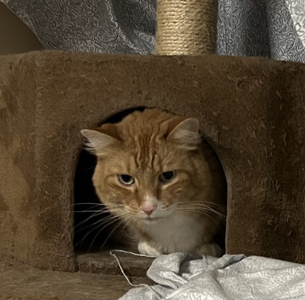 Max