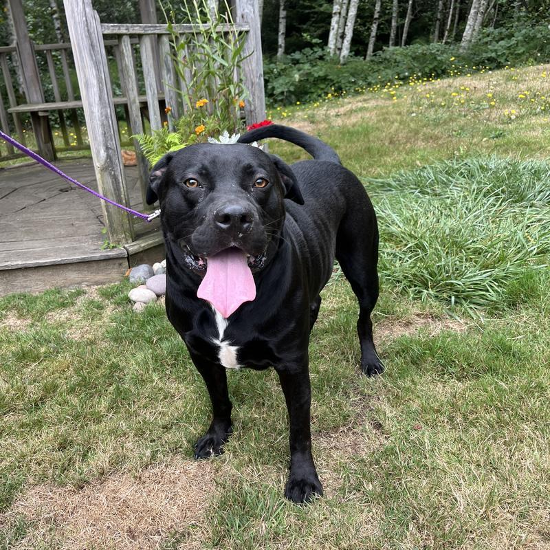 Owen (form Oakley)