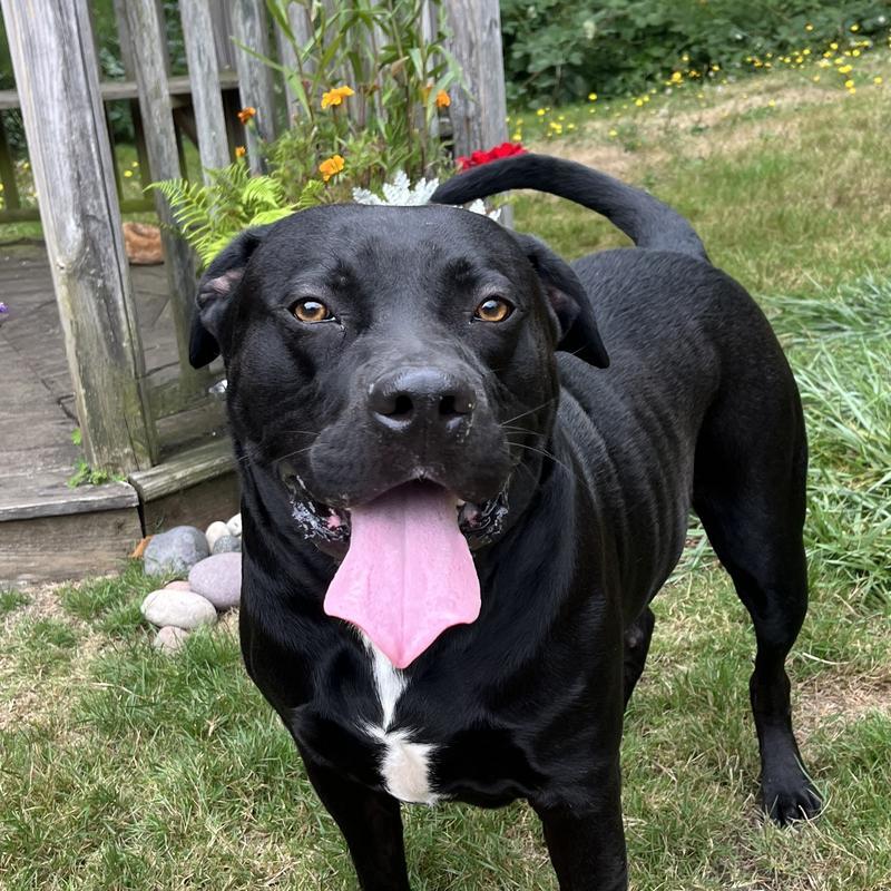 Owen (form Oakley)