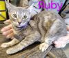 Ruby Waters