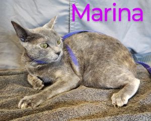 Marina