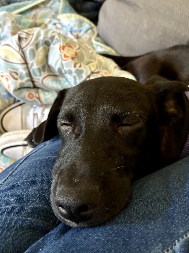 Agatha the Angel