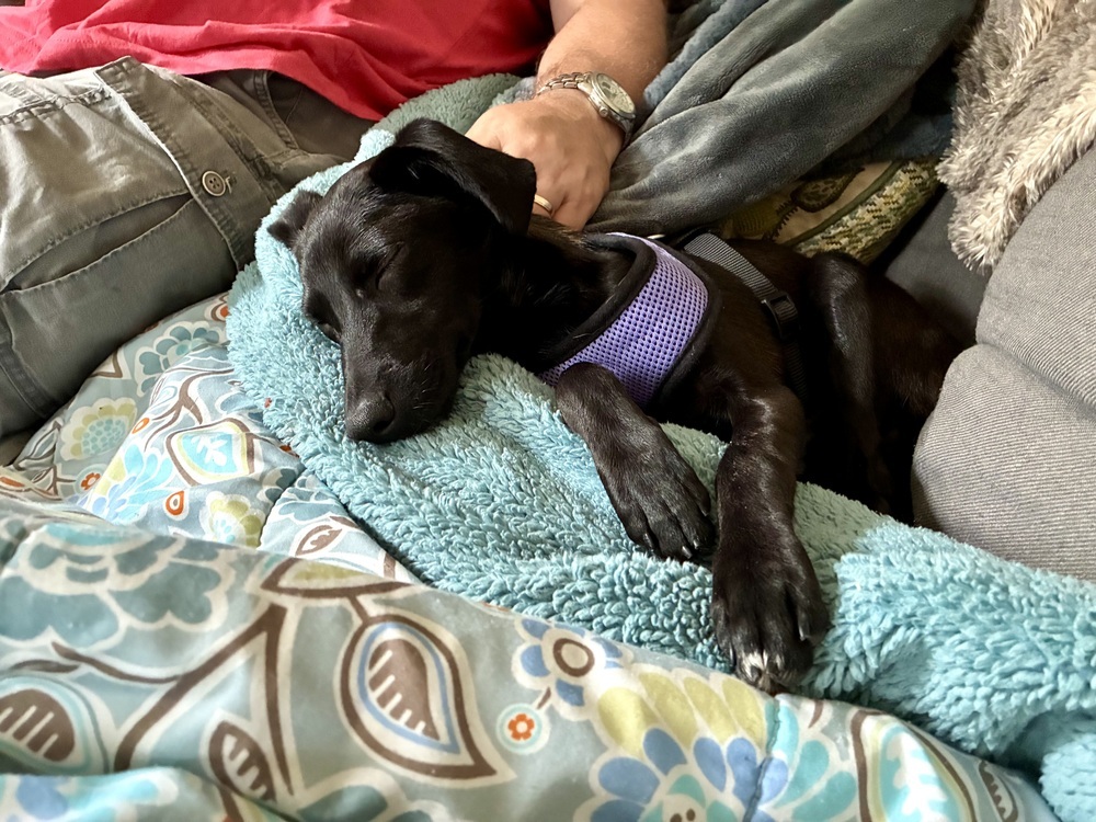 Agatha the Angel