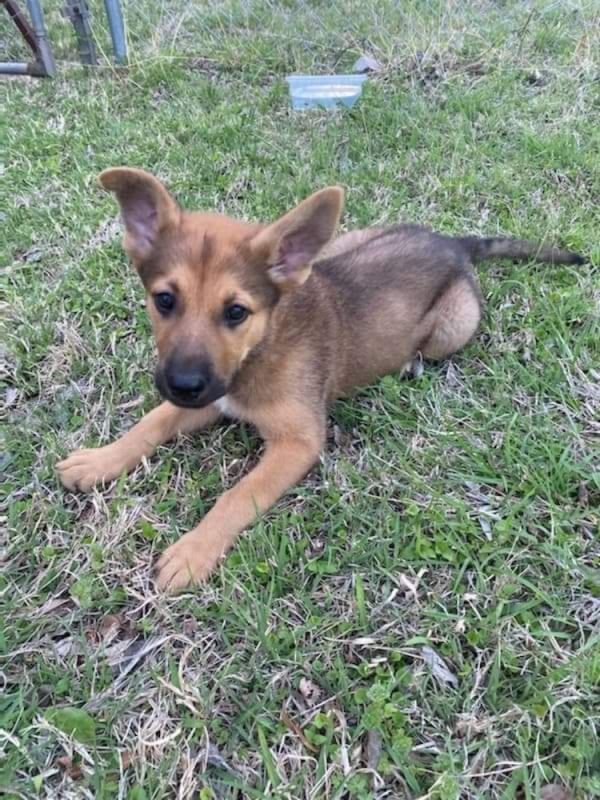Ellie
