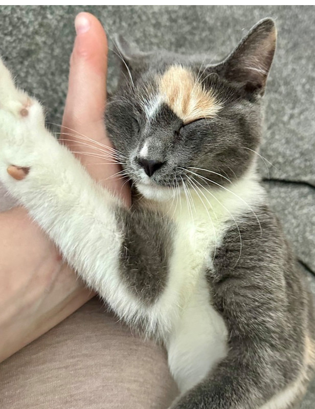 Fran