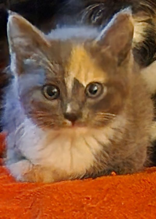 Fran thumbnail 2