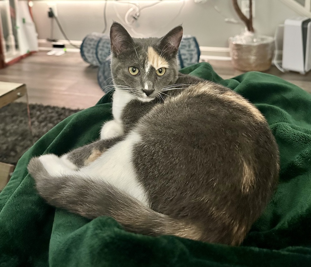 Fran