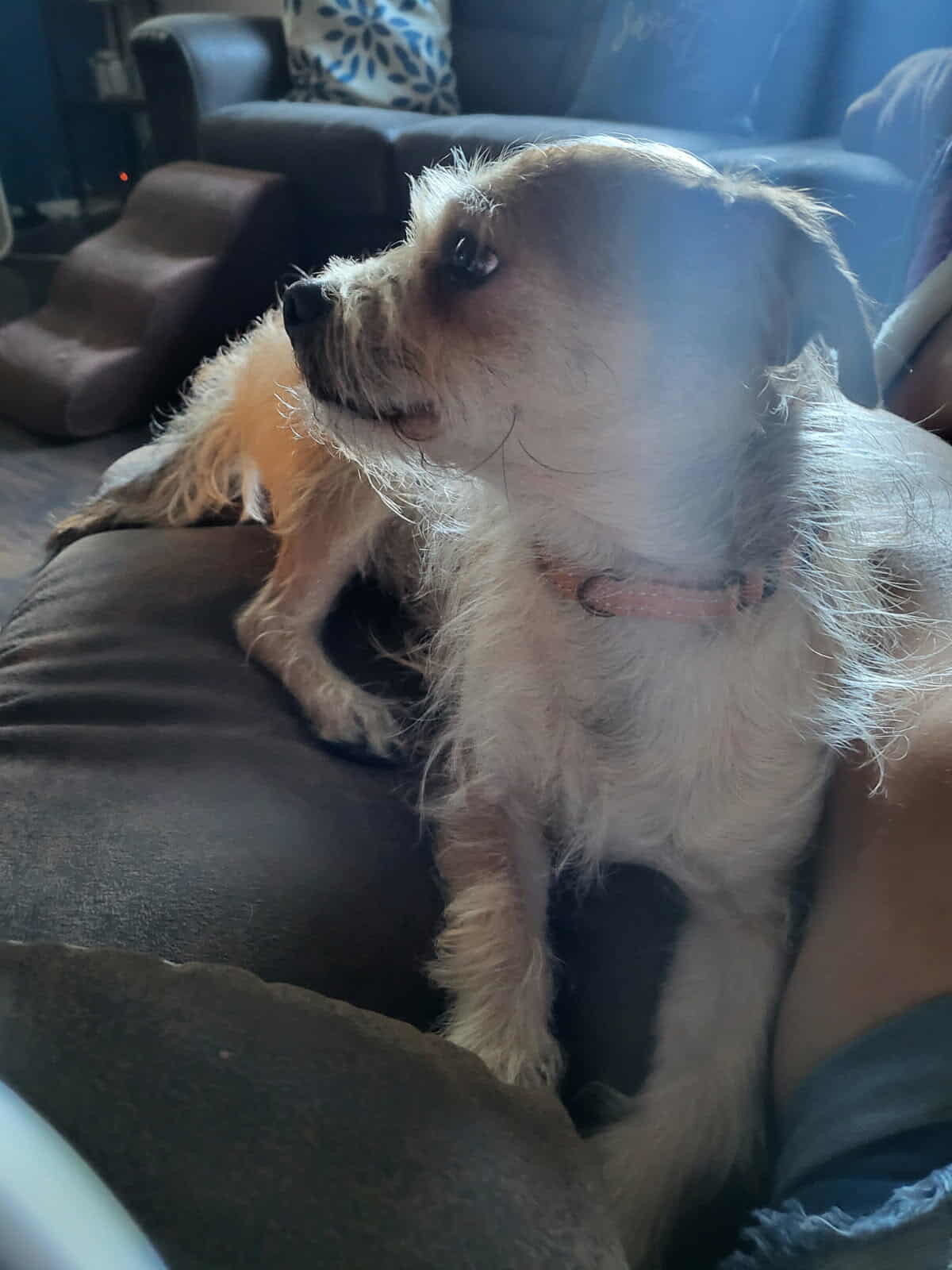 Rusty