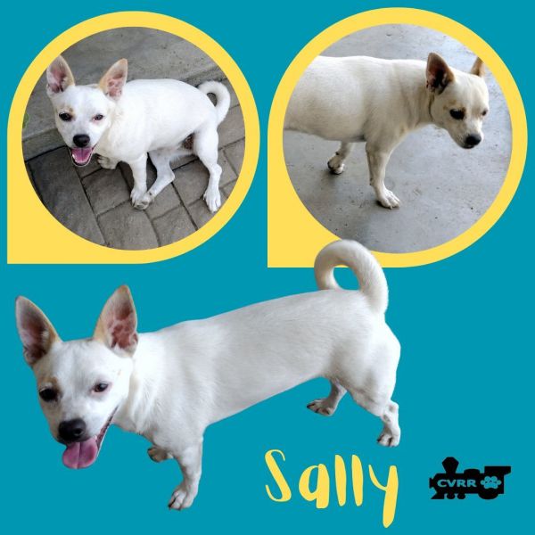Sally