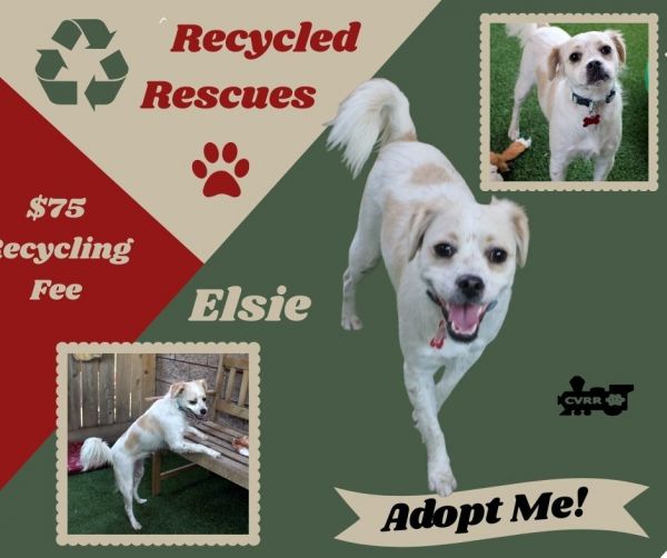 Elsie (Recycle)