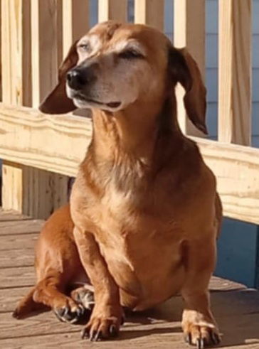 Oskar
