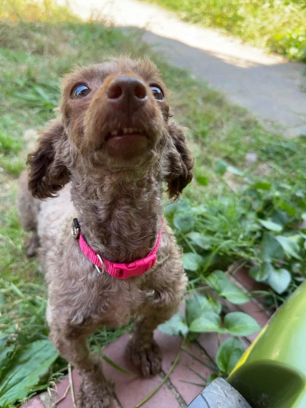 Mimi