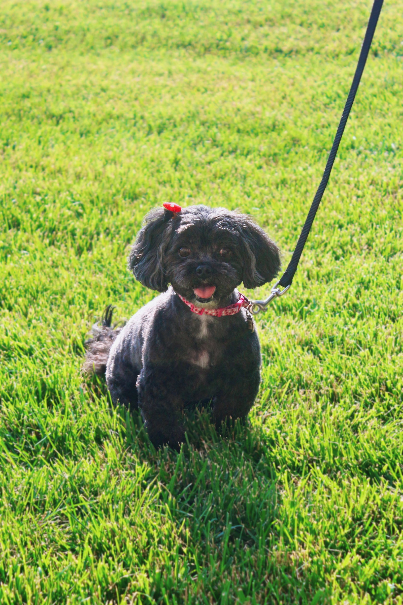 Lucy