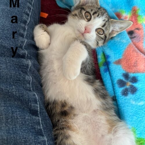 Mary