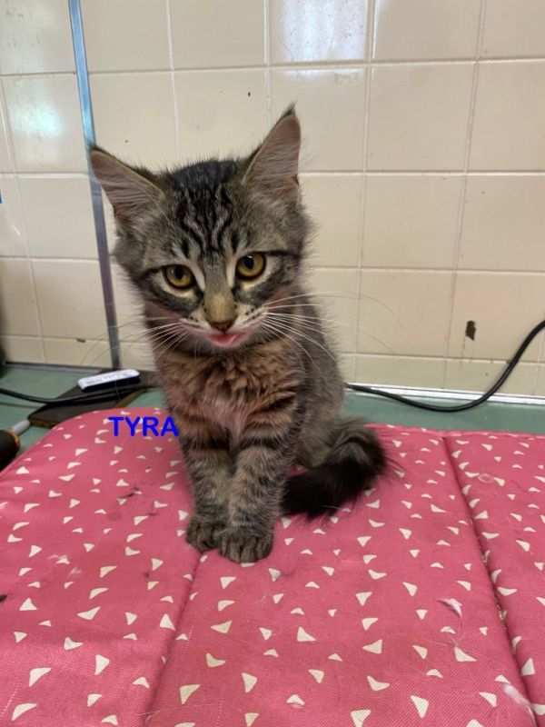 Tyra