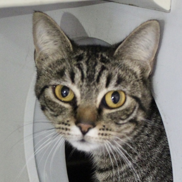 Ezra -- Bonded Buddies