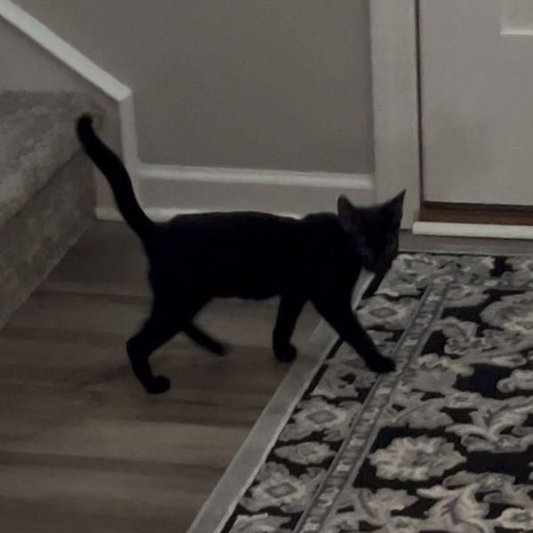 Salem