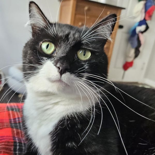 The Marvelous Ms. Minnie