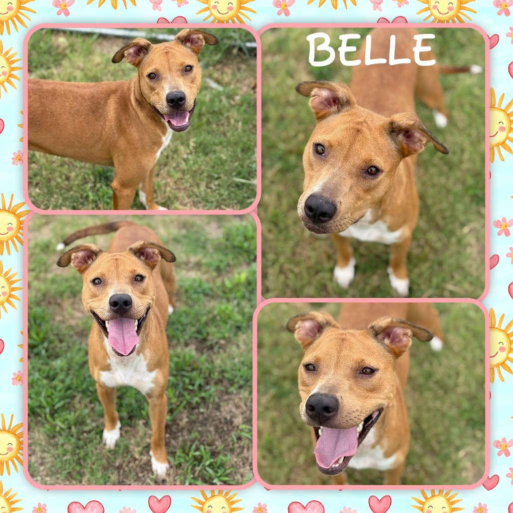 Belle