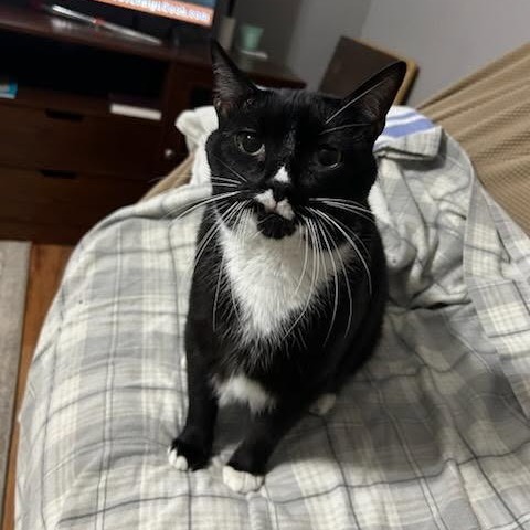 Prince
