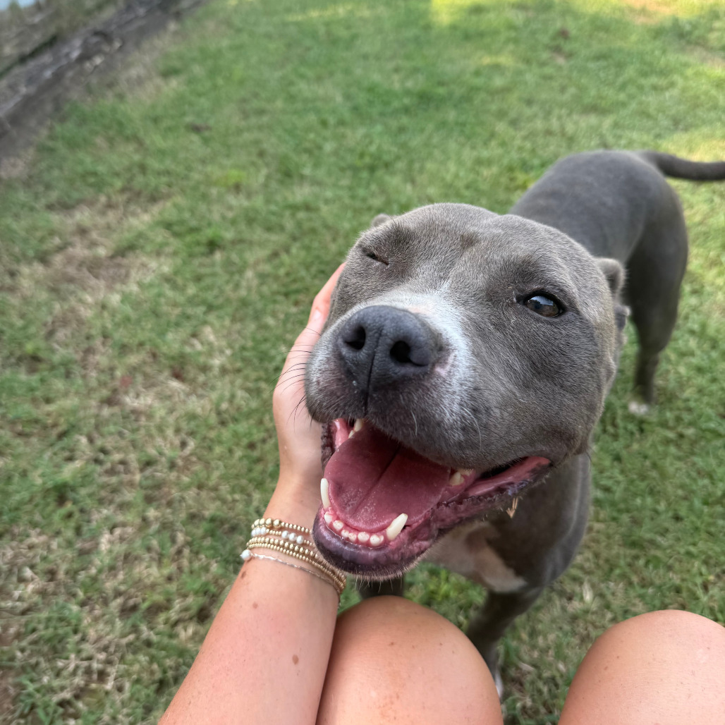 Bella