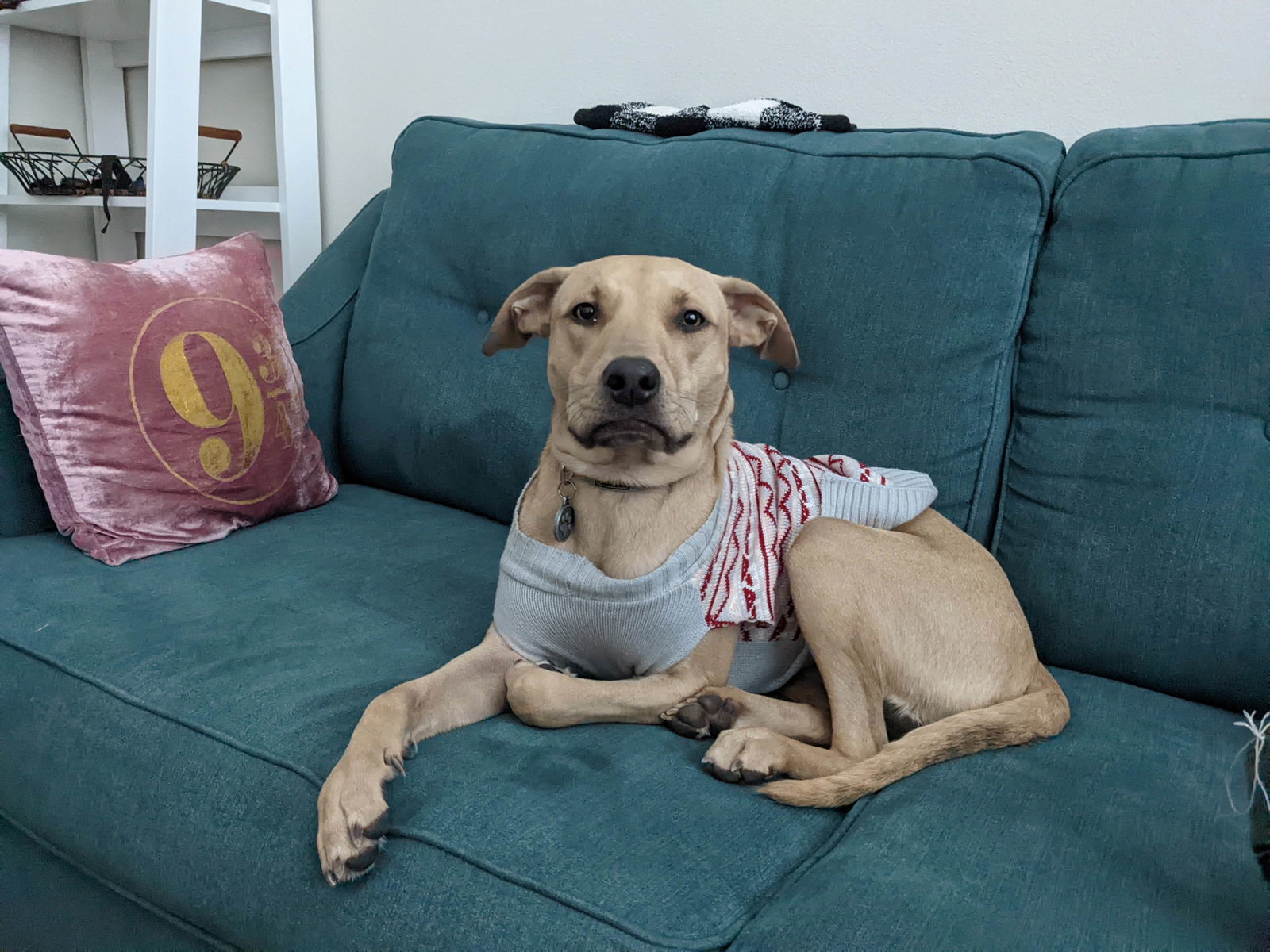 Luna XXIII (New Digs)