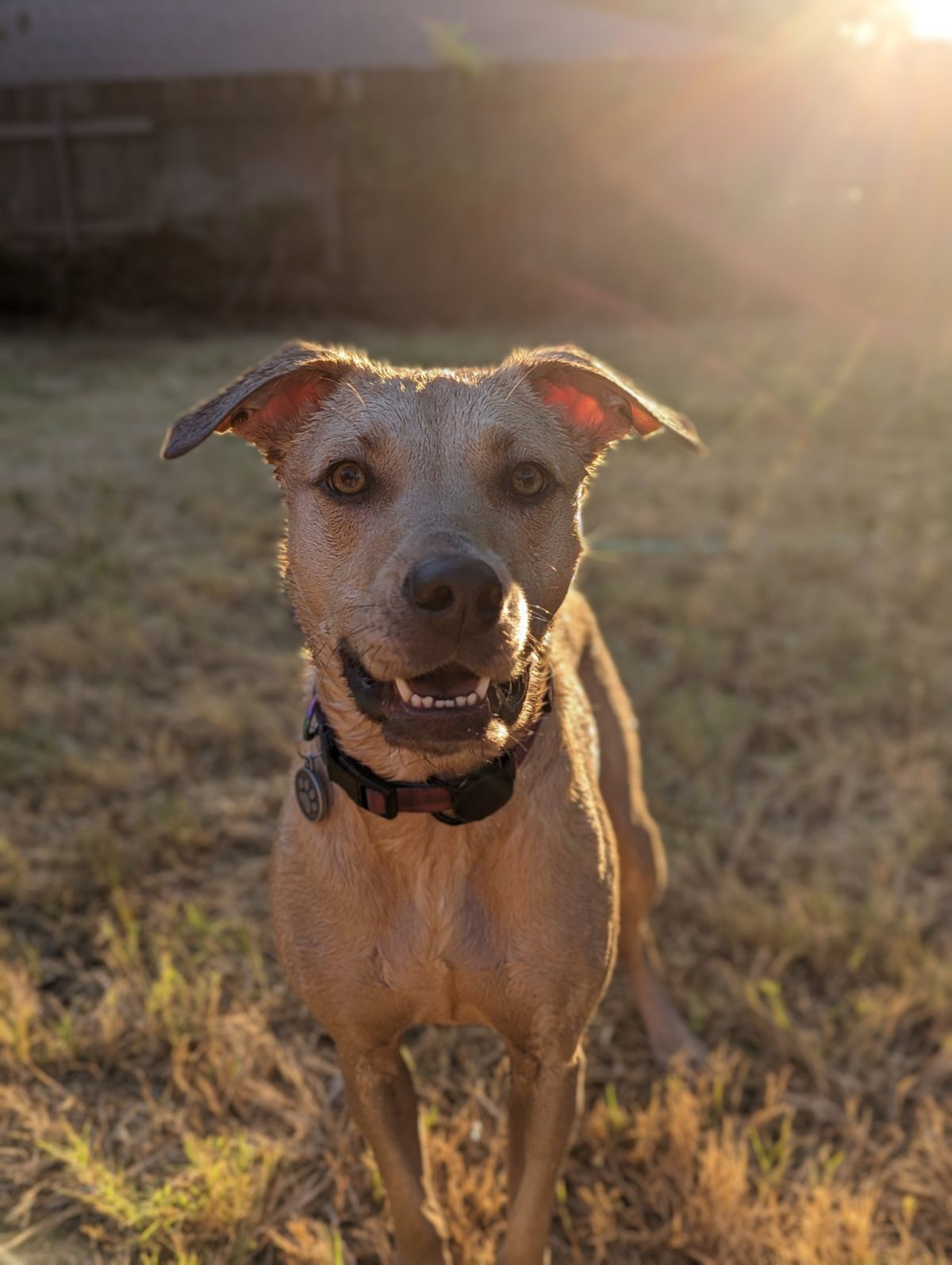 Luna XXIII (New Digs)