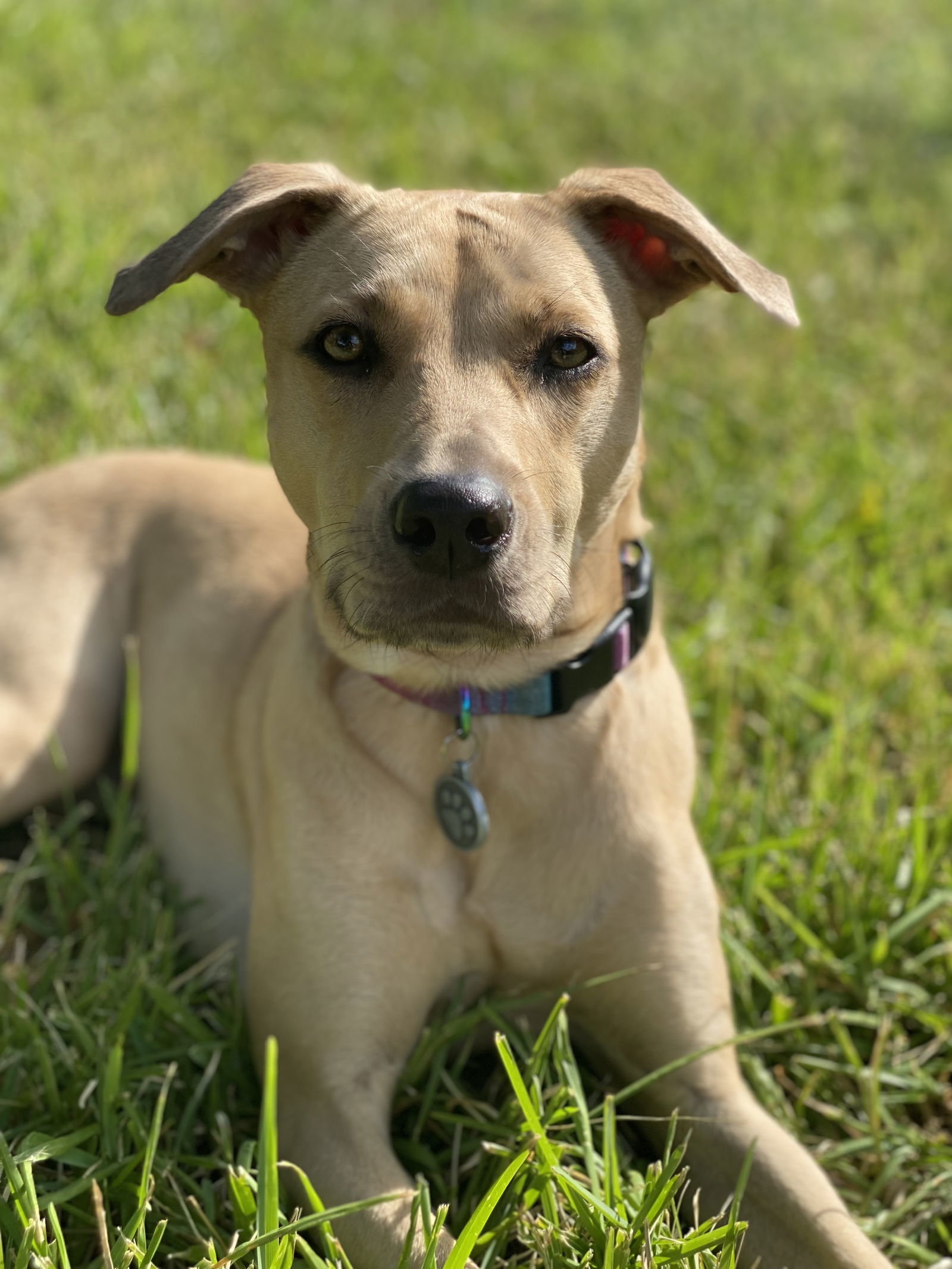 Luna XXIII (New Digs)