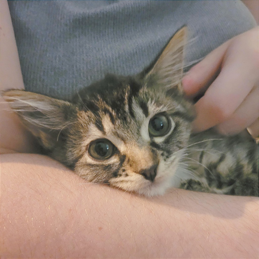 Lily
