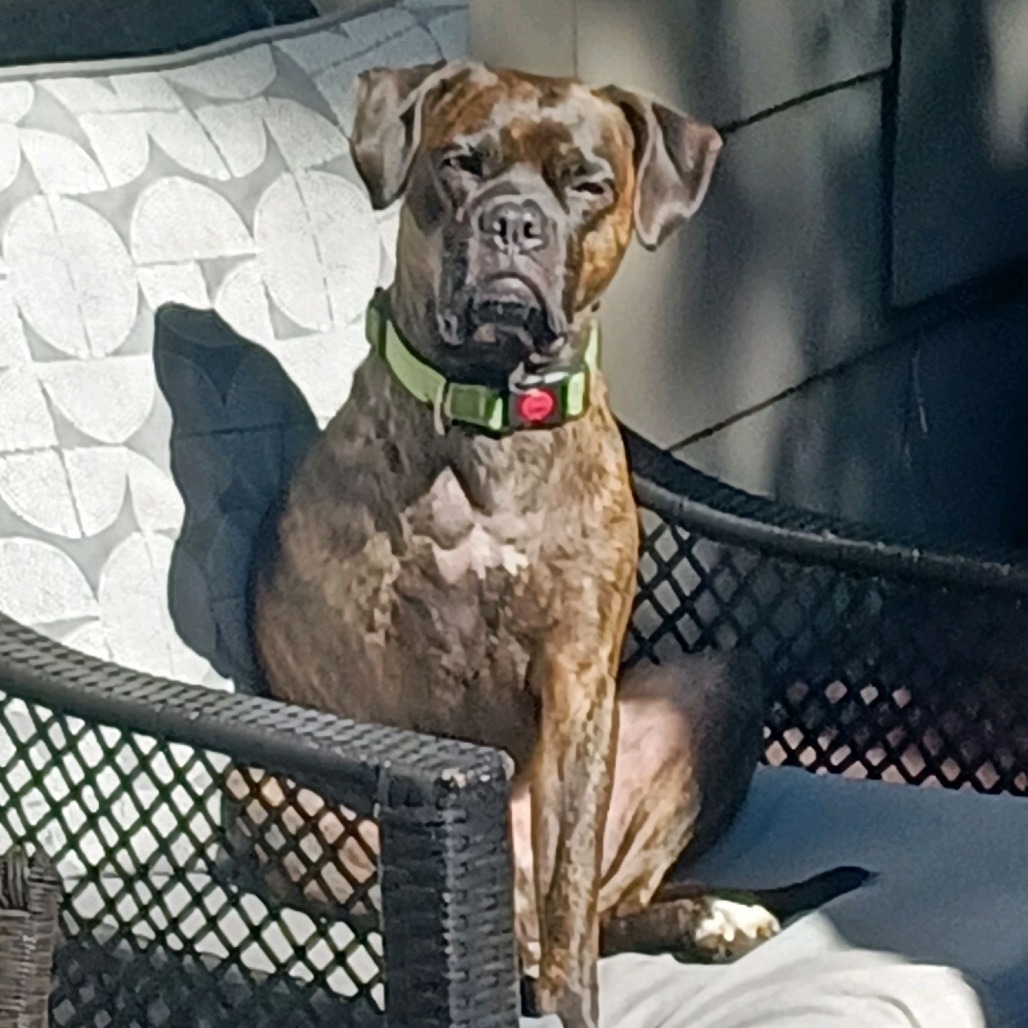 Duke