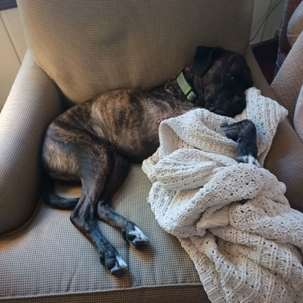 Duke