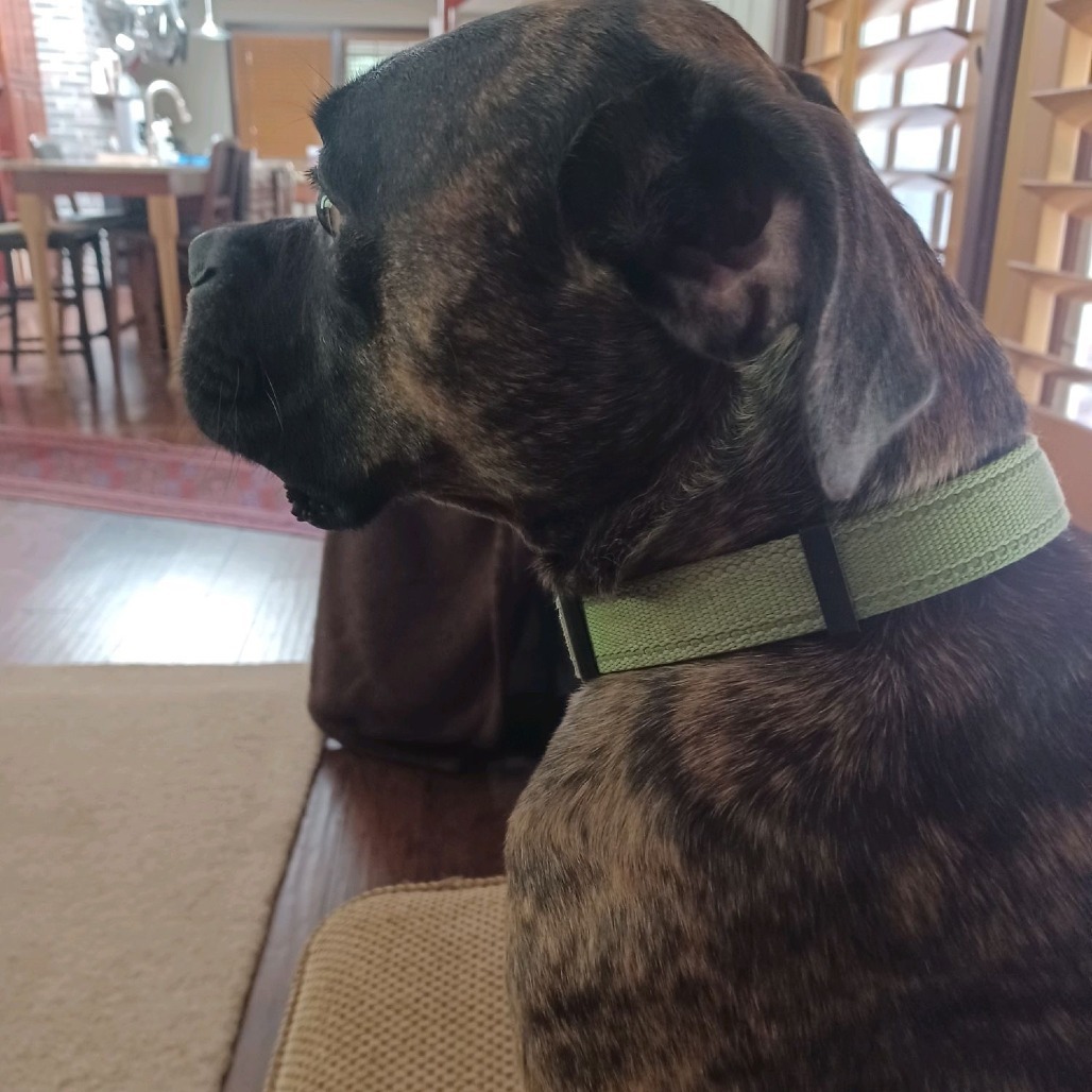 Duke