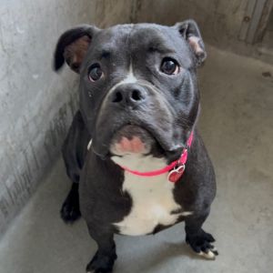 Jelly A2174833