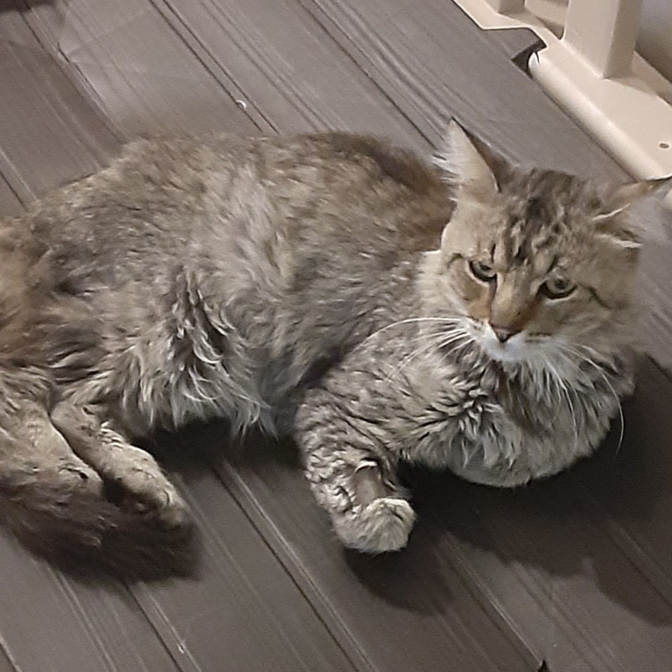 Ralphie