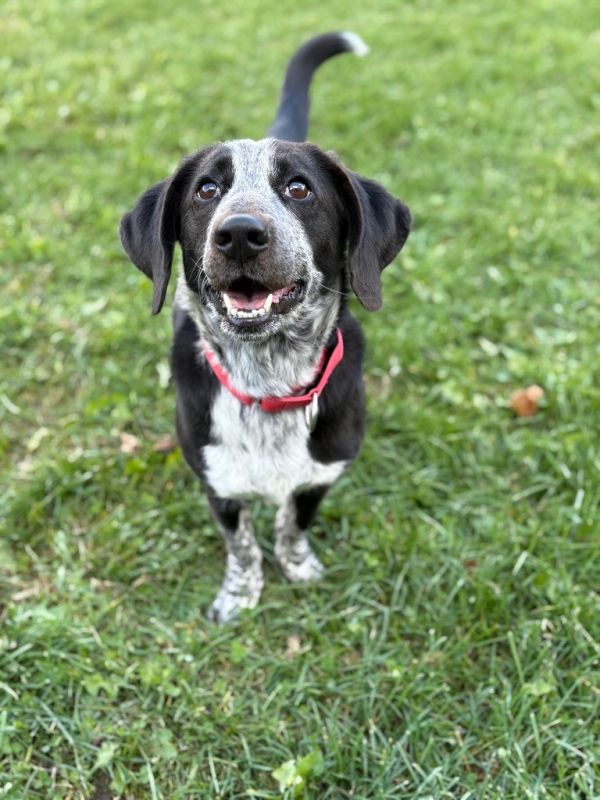 Miss Prisscilla photo 1