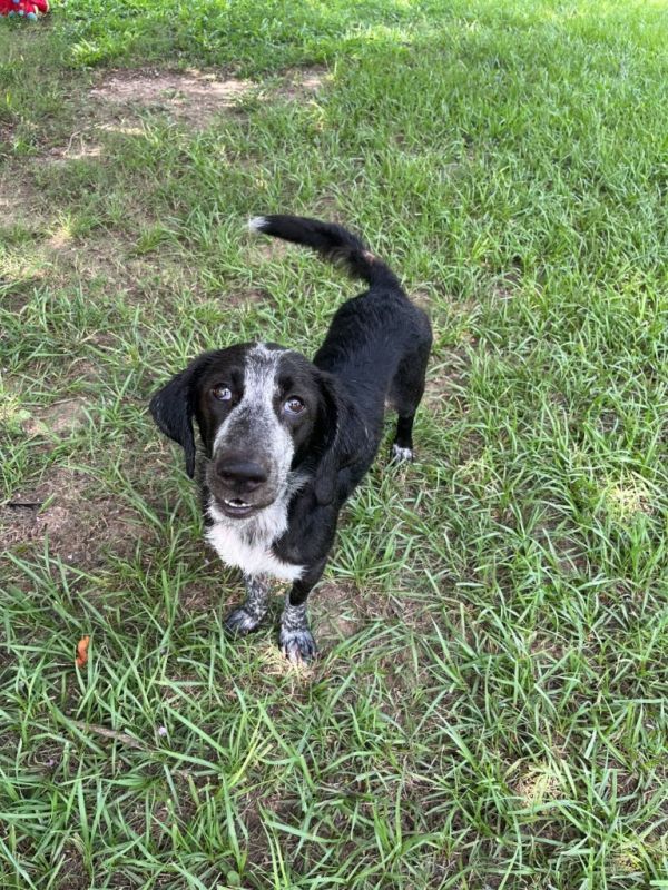 Miss Prisscilla thumbnail 2