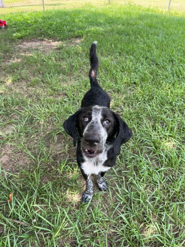 Miss Prisscilla thumbnail 3