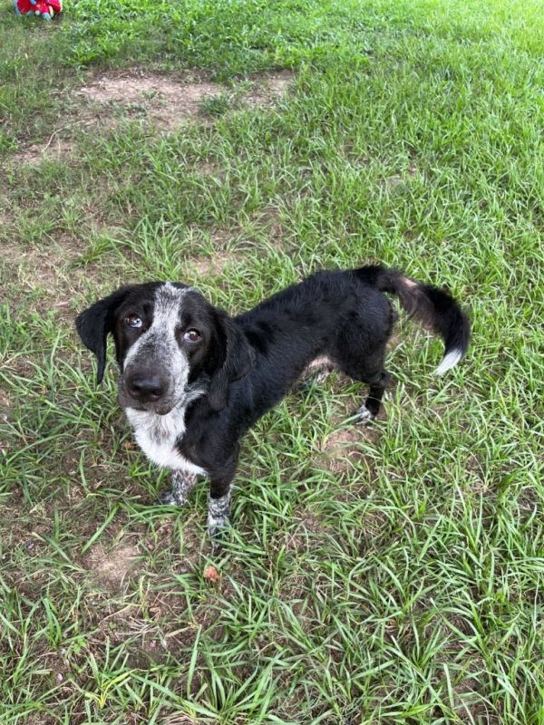 Miss Prisscilla thumbnail 6