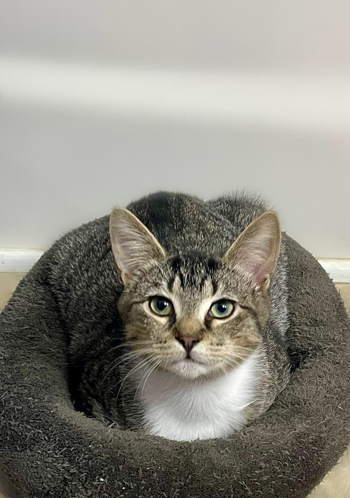 Milo