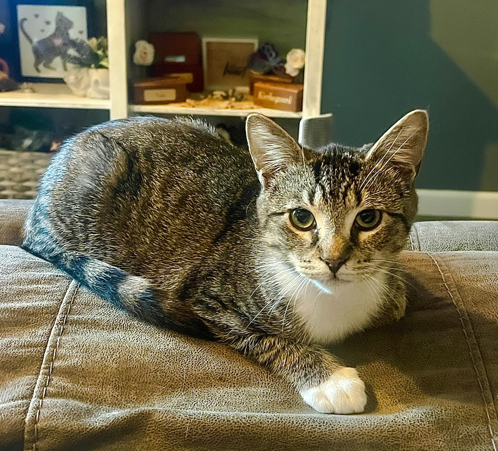Milo