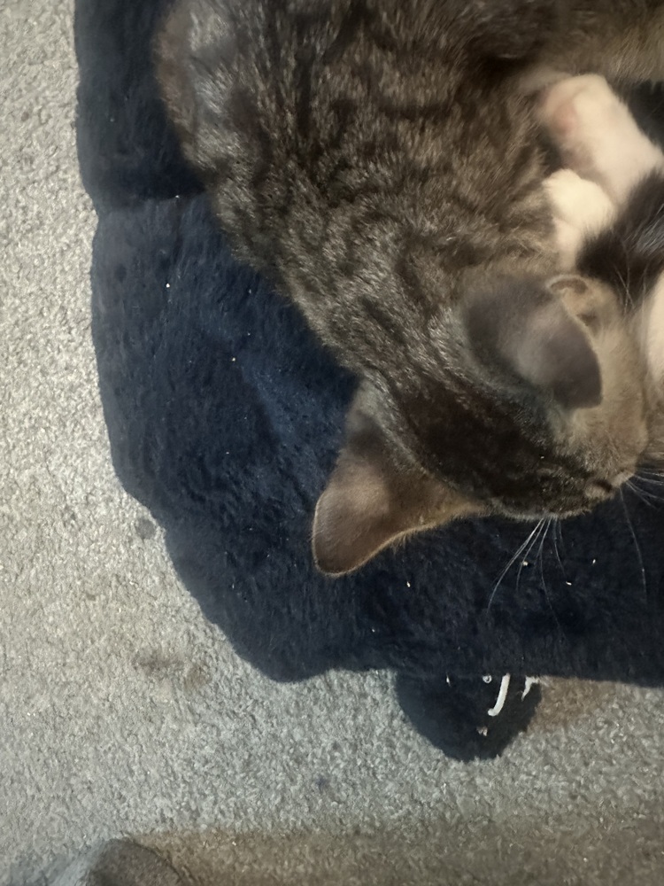 Quicksilver (fka Axel)