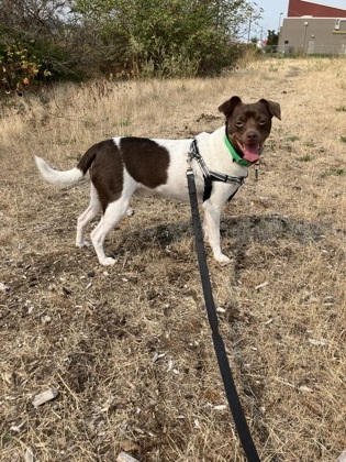 Walter