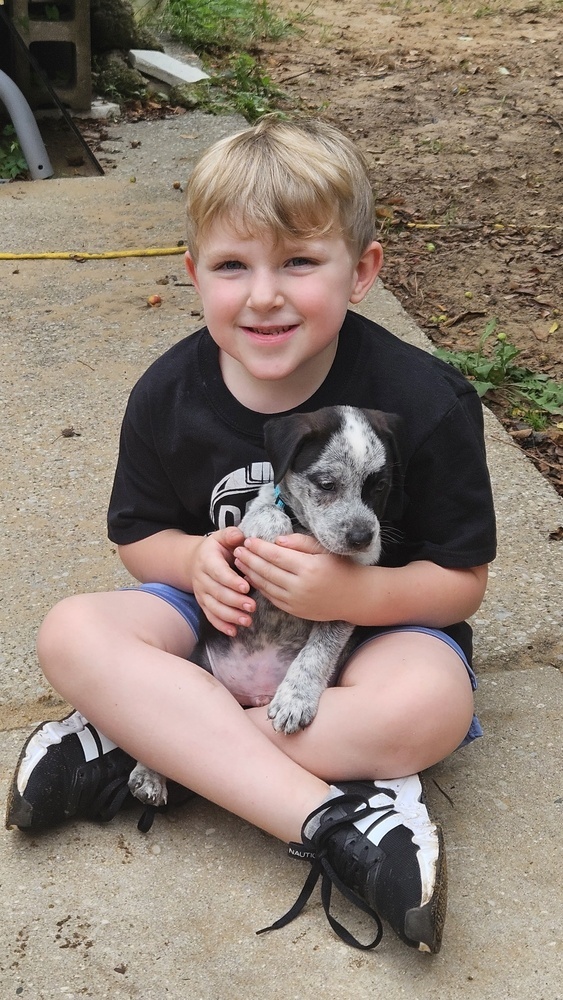 Raggedy Andy thumbnail 2