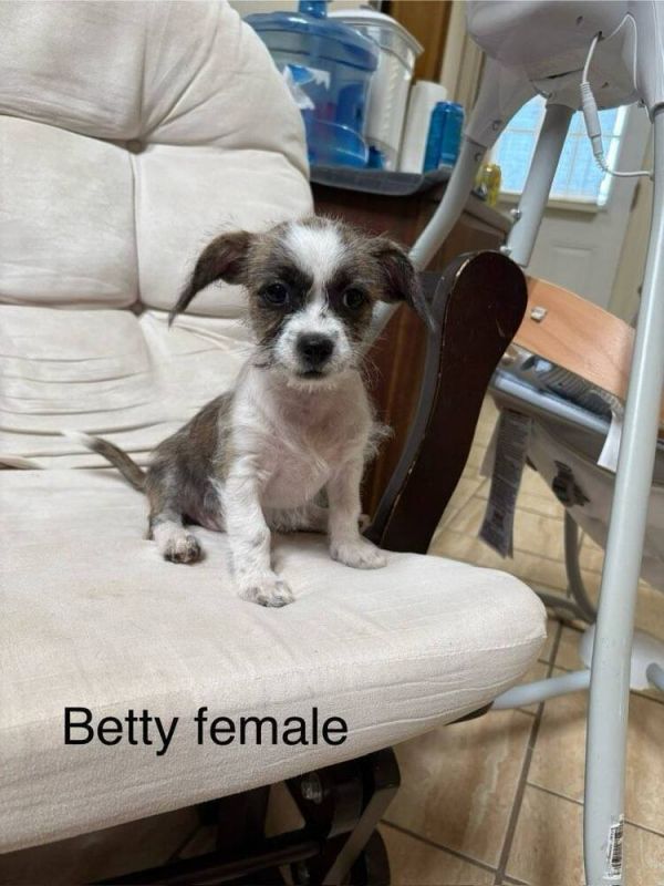 Betty Munchkin