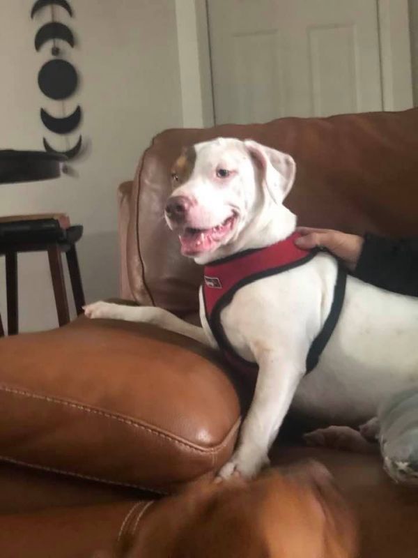 Zoe